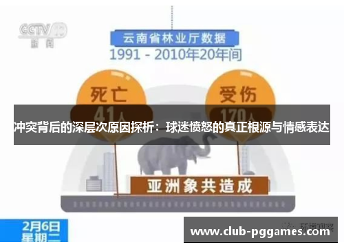 冲突背后的深层次原因探析：球迷愤怒的真正根源与情感表达