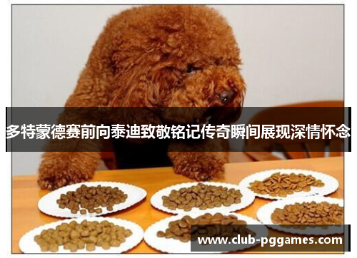 多特蒙德赛前向泰迪致敬铭记传奇瞬间展现深情怀念