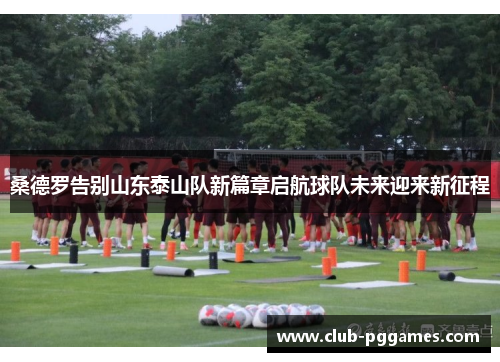 桑德罗告别山东泰山队新篇章启航球队未来迎来新征程