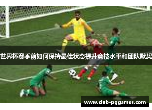 世界杯赛季前如何保持最佳状态提升竞技水平和团队默契