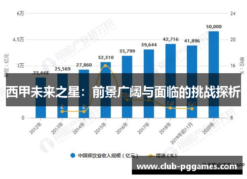 西甲未来之星：前景广阔与面临的挑战探析